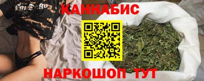 Альфа ПВП Ачхой-Мартан
