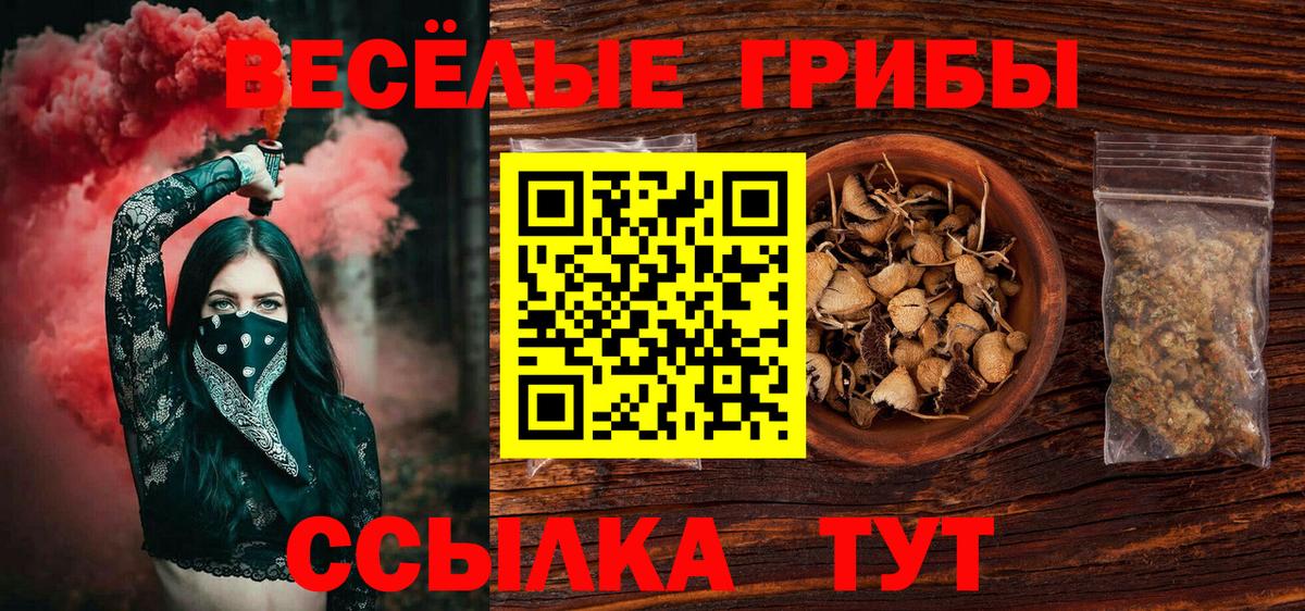 Галлюциногенные грибы GOLDEN TEACHER  Вход с VPN  Верхняя Пышма 
